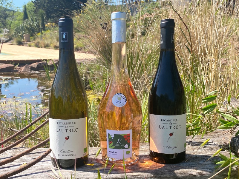 Coffret vin du Languedoc BIO 3 bouteilles blanc, rosé et rouge IGP Pays d'Oc