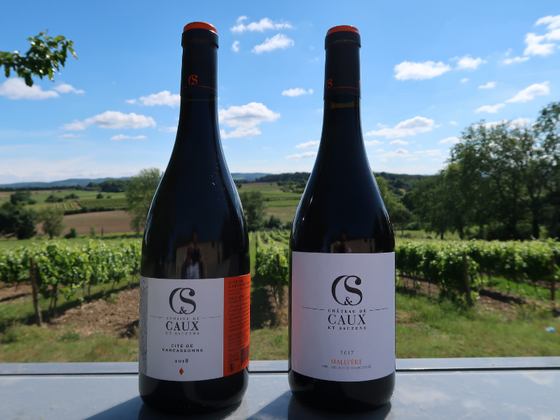 Coffret vin du Languedoc 2 bouteilles de rouge AOP Malepère