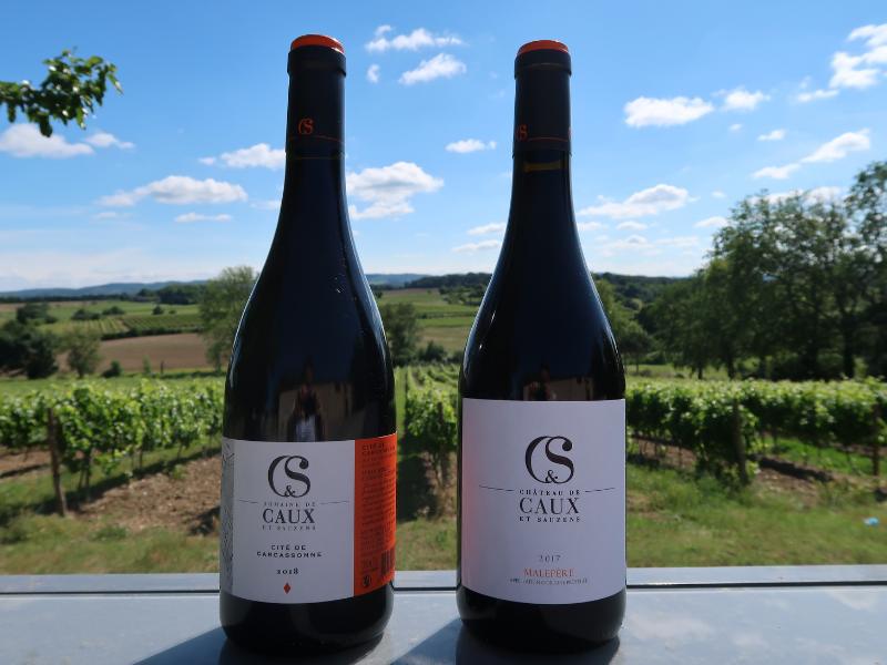 Duo de rouge Malepère et Cité de Carcassonne