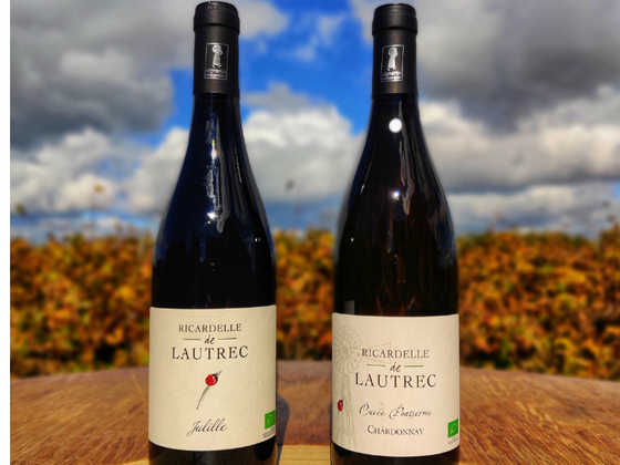 Coffret vin du Languedoc 2 bouteilles BIO rouge et blanc