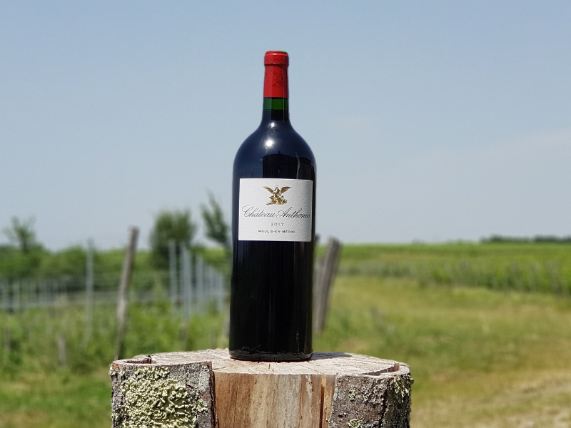 Coffret vin de Bordeaux 1 magnum de vin rouge AOC Moulis-en-Médoc