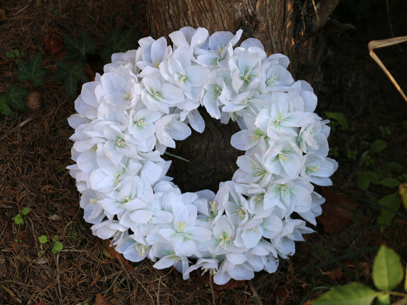 Couronne murale blanche en papier crépon