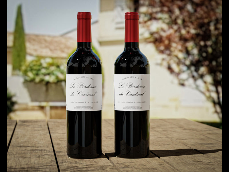 Coffret vin de Bordeaux 2 bouteilles rouge AOC Bordeaux