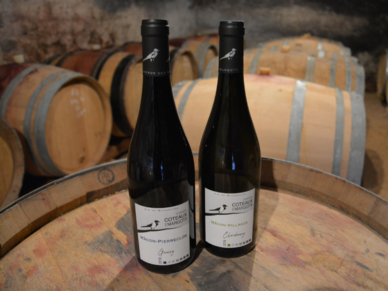 Coffret vin de Bourgogne 2 bouteilles blanc et rouge, AOC Bourgogne, Mâcon Villages