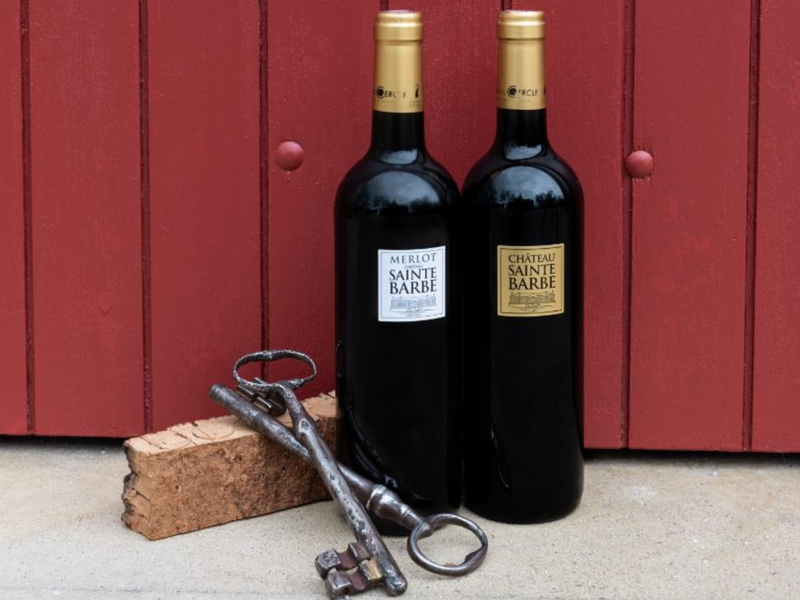 Coffret vin de Bordeaux 2 bouteilles rouge AOC Bordeaux, Bordeaux Supérieur