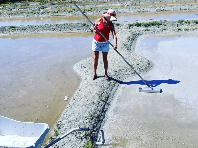 Découverte de sels marins aromatisés