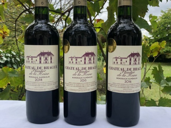 Coffret vin de Bordeaux 3 bouteilles rouge AOC Bordeaux Supérieur