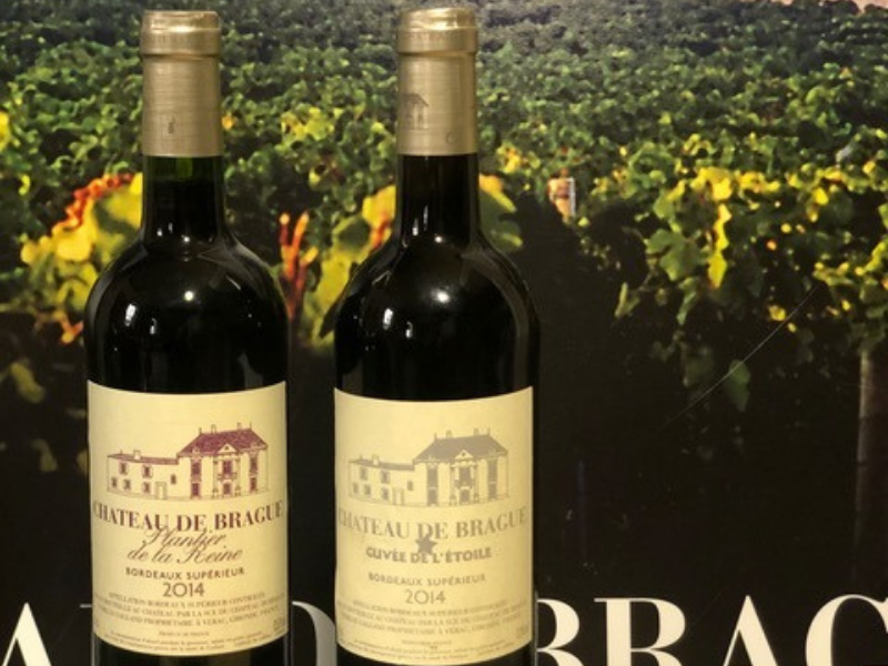 Duo de bordeaux supérieur : plantier de la reine et cuvée de l'étoile