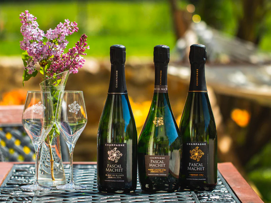 Coffret champagne 3 bouteilles de Champagne Blanc de Blancs, Premier Cru et Marie Louise d'Eu