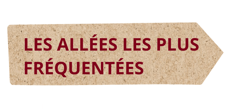 Les allées les plus fréquentées